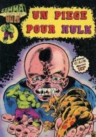 Grand Scan Hulk Gamma n° 14